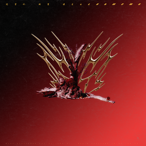 胸大美女乳头大高朝版
