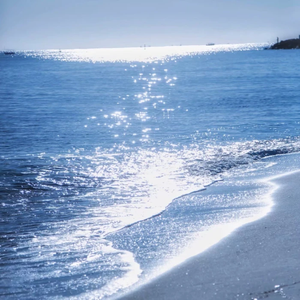 胸大美女乳头大高朝版
