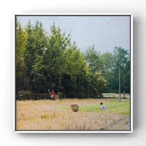 胸大美女乳头大高朝版
